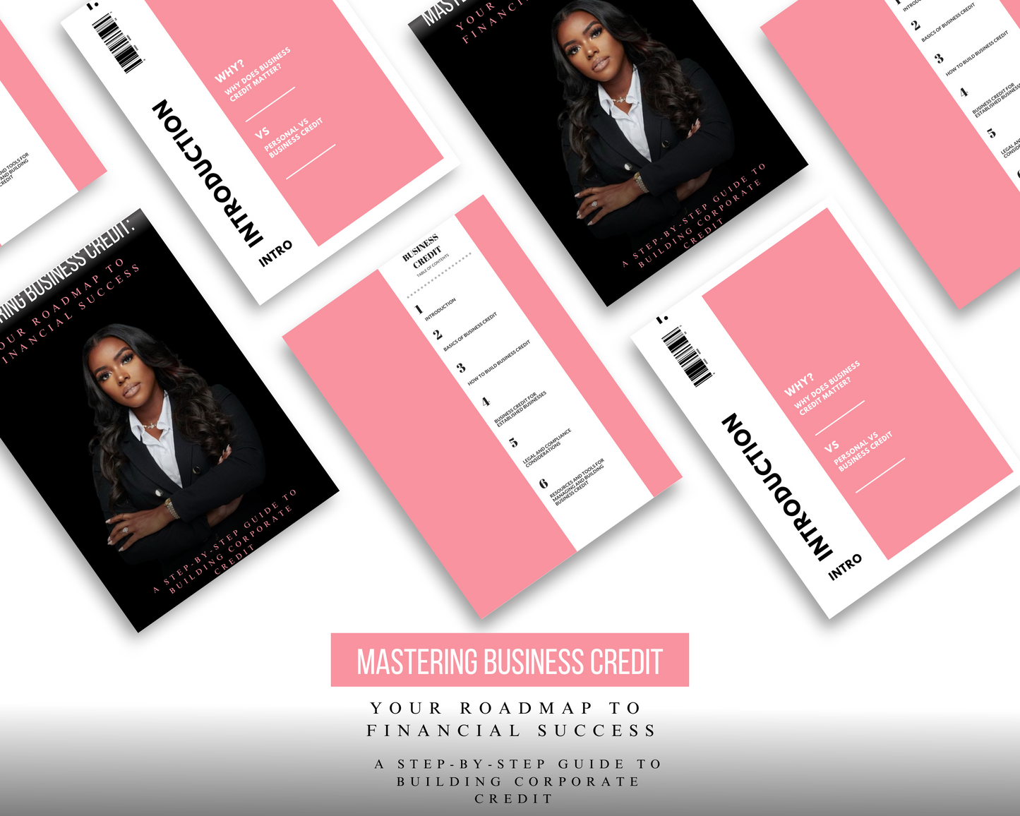 MASTERING BUSINESS CREDIT